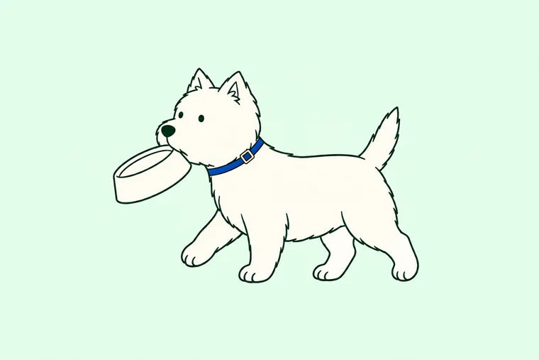 The Westie carries an empty bowl.