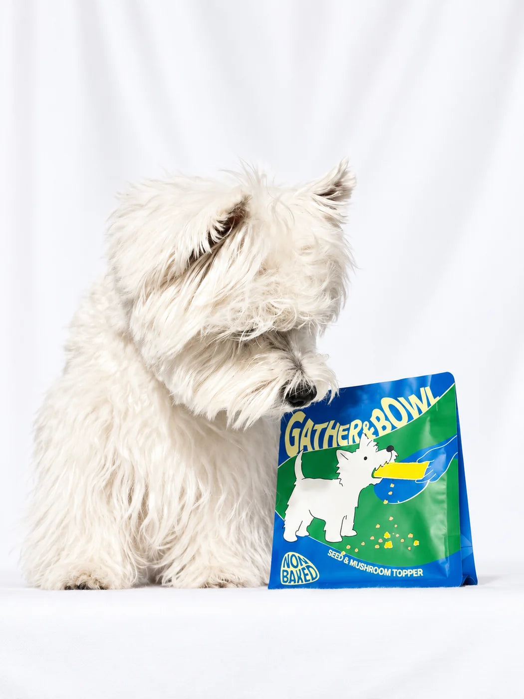 A white terrier sitting beside a Gather and Bowl pouch against a white background.