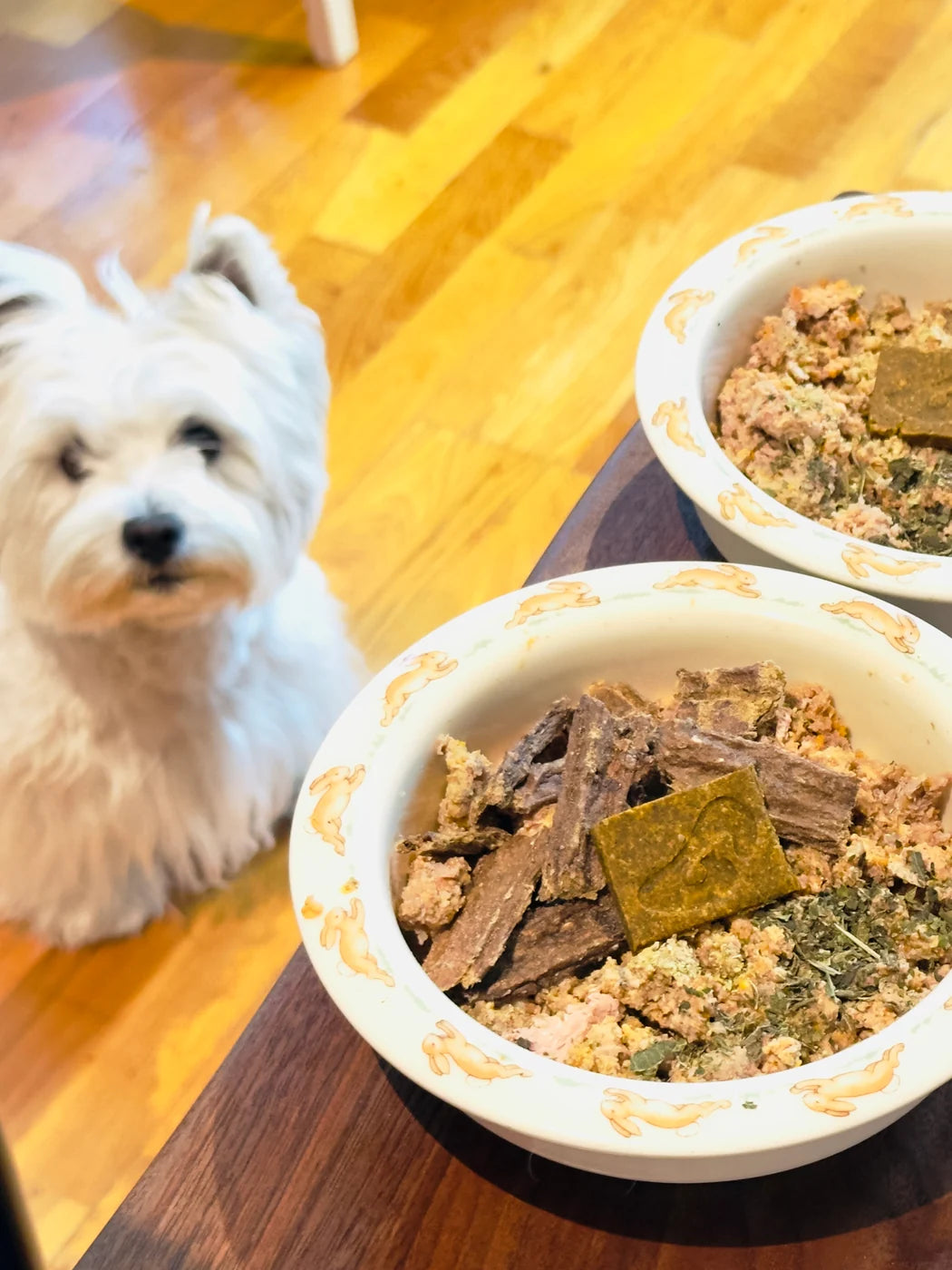 A white terrier beside two dinner bowls topped with a square of topper.